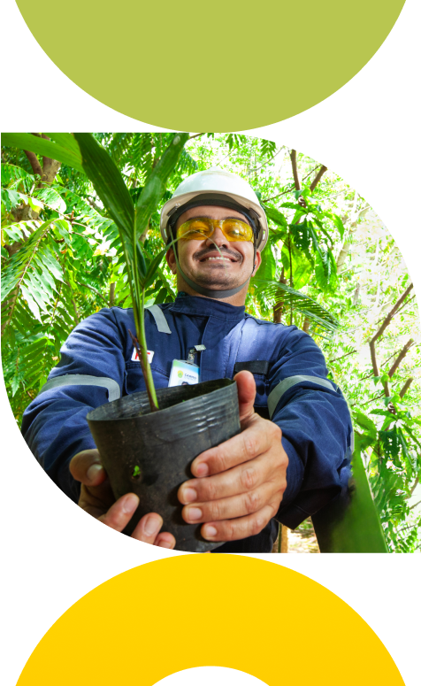 Dois colaboradores segurando mudas de plantas.