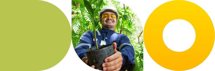 Dois colaboradores segurando mudas de plantas.